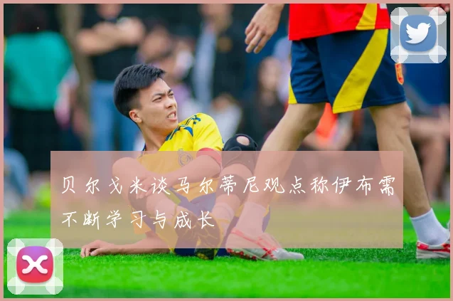 贝尔戈米谈马尔蒂尼观点称伊布需不断学习与成长