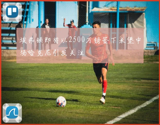 埃弗顿即将以2500万镑签下米堡中场哈克尼引发关注